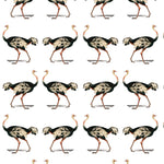 colored detailed ostrich design pattern on white background Removable Peel and Stick Wallpaper