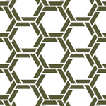 White Background Dark Green Braided Geometric Pattern Elegant Peel and Stick Removable Wallpaper Pattern