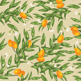 illustrated green leaves white flowers and orange citrus on tan background wallpaper peel and stick pattern
