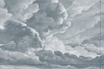 hand drawn light blue cloud mural illustration peel and stick wallpaper 12x8