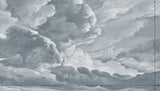 hand drawn light blue cloud mural illustration peel and stick wallpaper 14x8