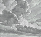 hand drawn storm grey cloud mural illustration peel and stick wallpaper 10x9