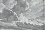 hand drawn storm grey cloud mural illustration peel and stick wallpaper 12x8
