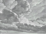 hand drawn storm grey cloud mural illustration peel and stick wallpaper 12x9