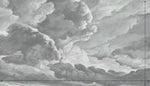 hand drawn storm grey cloud mural illustration peel and stick wallpaper 14x8