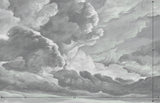hand drawn storm grey cloud mural illustration peel and stick wallpaper 14x9