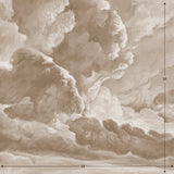 hand drawn sepia brown cloud mural illustration peel and stick wallpaper 10x10