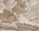 hand drawn sepia brown cloud mural illustration peel and stick wallpaper 10x8