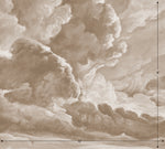 hand drawn sepia brown cloud mural illustration peel and stick wallpaper 10x9