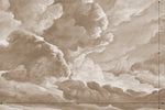 hand drawn sepia brown cloud mural illustration peel and stick wallpaper 12x8