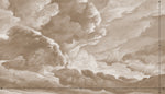 hand drawn sepia brown cloud mural illustration peel and stick wallpaper 14x8