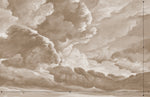 hand drawn sepia brown cloud mural illustration peel and stick wallpaper 14x9