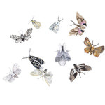 colorful butterfly and moth decals on white background peel and stick