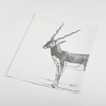 illustrated grey antelope pattern on white background Removable Peel and stick wallpaper sample size
