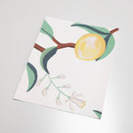illustrated green leaves yellow lemon and brown branches on white background wallpaper peel and stick pattern sample size