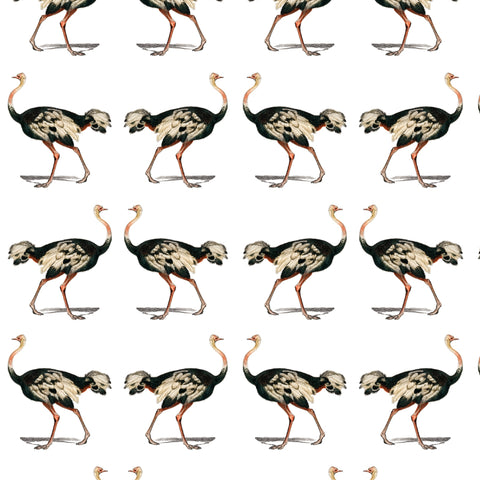 colored detailed ostrich design pattern on white background Removable Peel and Stick Wallpaper