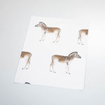 zebras on white background peel and stick wallpaper sample size
